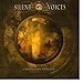 Song Falling from Grace by Silent Voices on Chapters of Tragedy at Amazon