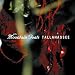 Song No Children by The Mountain Goats on Tallahassee at Amazon