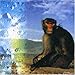 Song Drunken Monkey by Salmonella Dub on Calming of the Drunken Monkey at Amazon