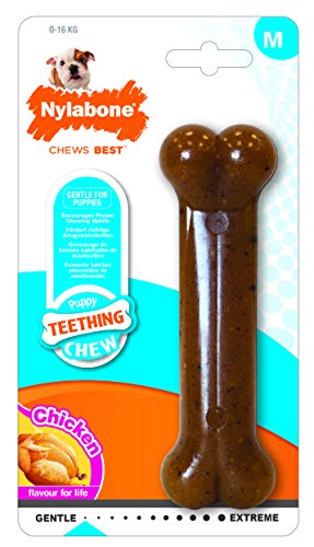 Nylabone Dental Dinosaur