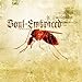 Song The Hero by Soul Embraced on Immune at Amazon