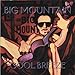 Song Don't Save Me For Later by Big Mountain on Cool Breeze at Amazon