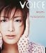 VOICE