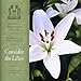 Song He Shall Feed His Flock by The Mormon Tabernacle Choir on Consider the Lilies at Amazon