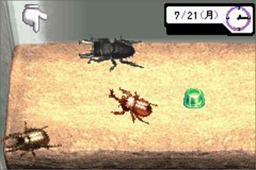 【GBA】ゲームボーイアドバンスの名作・アドベンチャーゲーム人気投票&ランキング【ADV】 22位 みんなの飼育シリーズ3 ぼくのカブト・クワガタの画像