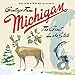 Song All Good Naysayers Speak Up! Or Forever  Hold Your Peace! by Sufjan Stevens on Greetings From Michigan: The Great Lake State at Amazon