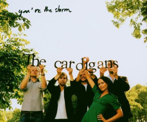 You're the Storm [Holland CD]