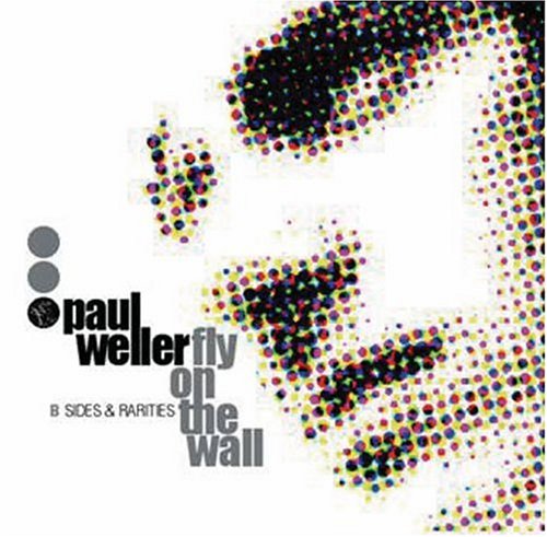 Fly on the Wall: B-Sides & Rarities 1991-2000
