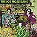 Song Second Gear by Joe Moss Band on Joe Moss Band at Amazon