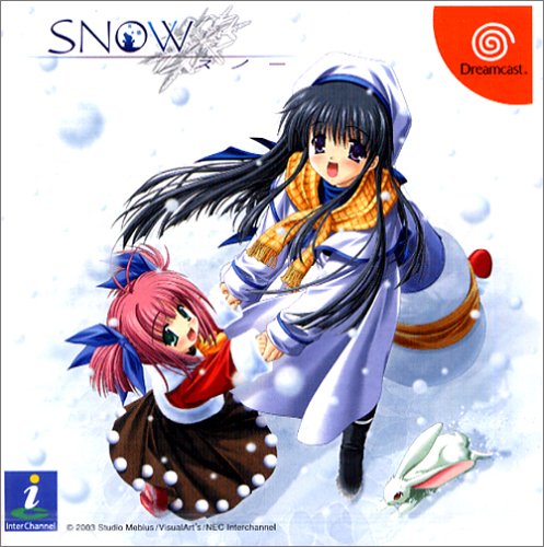 【DC】ドリームキャストのアドベンチャー・ゲーム人気投票【ADV】 104位 SNOWの画像