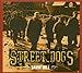 Song Jakes by Street Dogs on Savin Hill at Amazon
