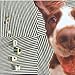 Song Chase Dream by The Blow on The Concussive Caress, or, Casey Caught Her Mom Singing Along With the Vacuum at Amazon