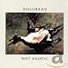 Song Spoil Your Dawn by Dolorean on Not Exotic at Amazon