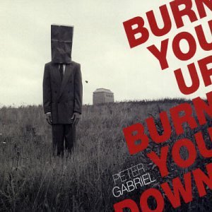 Burn You Up Burn You Down
