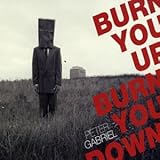 Burn You Up Burn You Down