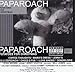 Song I Love Babies by Papa Roach on Potatoes for Christmas at Amazon