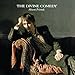Song Sticks &amp; Stones by The Divine Comedy on Absent Friends at Amazon