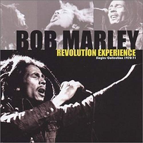 Revolution Experience