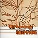 Chronology a young persons’ guide to Grapevine