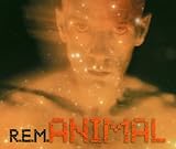 Animal/Pretty Persuasion/Welcome to Occupation