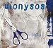 Song Poe-M by Dionysos on Haiku at Amazon