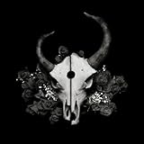 album / discography