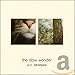 Song Most Of Us Prizefighters by A.C. Newman on The Slow Wonder at Amazon