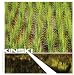 Song There's Nothing Sexy About Time by Kinski on Don't Climb on and Take the Holy Water at Amazon