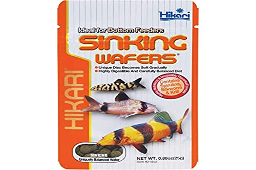 Hikari Tropical Sinking Wafers Fish Food, 0.88 oz (25g)