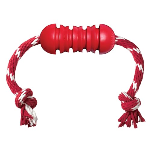 KONG Dental Stick with Rope