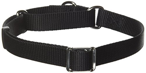 Coastal Pet Martingale Dog Collar Nylon Limited Slip Collar