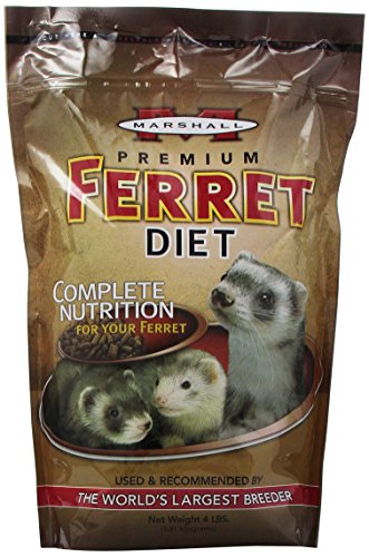 Marshall Premium Ferret Diet Dry Food – 4 lbs – Supports Digestion, Energy & Muscle Maintenance – Balanced Small Animal Food with Vitamins & Essential Minerals