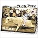 Song I Can Live With That by Trick Pony on R.I.D.E. at Amazon