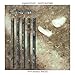 Song Too Shy by Kajagoogoo on White Feathers at Amazon