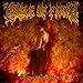 Song Nymphetamine Fix by Cradle of Filth on Nymphetamine at Amazon