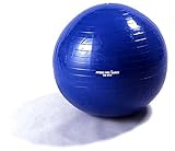 ALINCO エクササイズボール EX-017 65cm