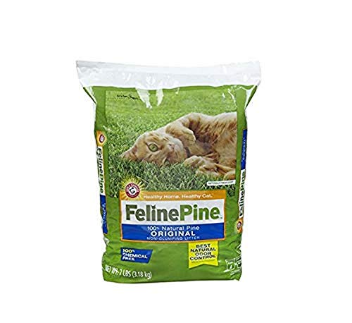 amazon feline pine