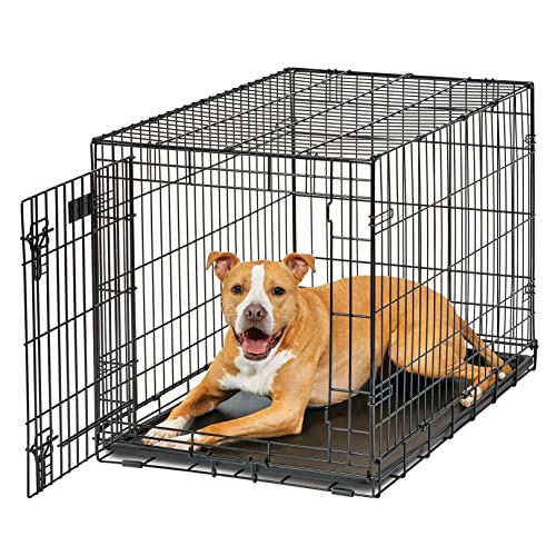 MidWest Homes for Pets Intermediate LifeStages Single Door 36-Inch Folding Dog Crate, Enhanced Security, Includes Leak-P