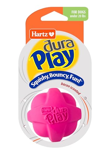 Hartz DuraPlay Bacon Scented Dog Toys, Small (Assorted Color) : Pet Supplies