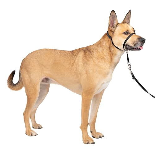 PetSafe Gentle Leader Headcollar No-Pull Dog Collar - Helps Improve Walks - Durable Nylon Construction - Padded Nose Loop - Adjustable Fit - Comfort Walking Halter - Medium, Black