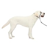 PetSafe Gentle Leader Head Collar