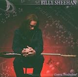 Cosmic Troubadour (2005)