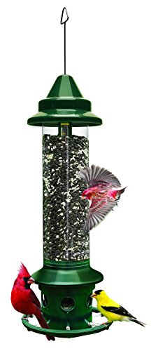 Brome Squirrel Buster Plus For Birds Only A great design that prevents your bird feeder from