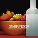 Song Something Evil by Starflyer 59 on Talking Voice vs. Singing Voice at Amazon