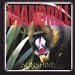 Song Moroccan Nights by Mandrill on Sunshine CD at Amazon