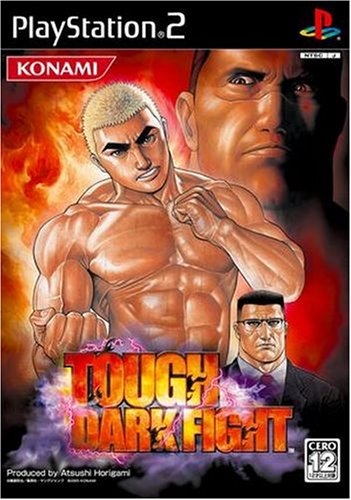 2000年代のゲーム総選挙!人気作品ランキング・人気投票 11位 TOUGH DARK FIGHTの画像