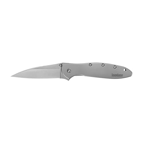 Kershaw Leek Pocket Knife, 3" 14C28N Stainless Steel Drop Point Blade, Spring Assisted Knife, Folding EDC