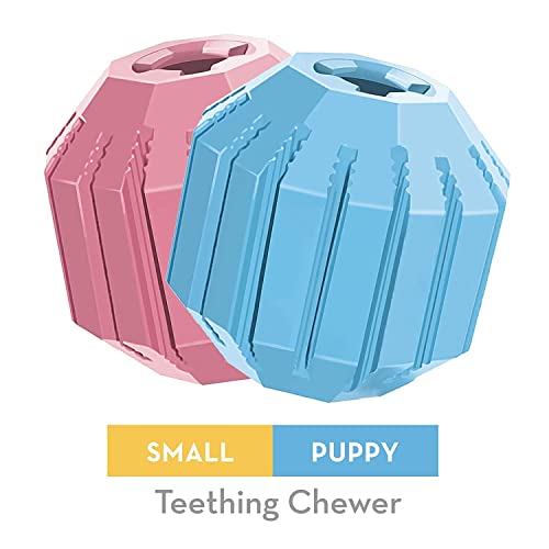 KONG Puppy Activity Ball - Soft & Durable Natural Puppy Rubber Dog Toy - Chew Toy for Teething Puppies - Eases Aching Teeth & Gums - for Small Puppies - Randomly Provided Color