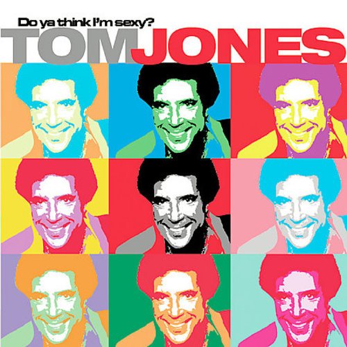 Do Ya Think I'm Sexy (Remixes 2005)