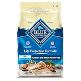 Blue Buffalo Life Protection Formula Puppy